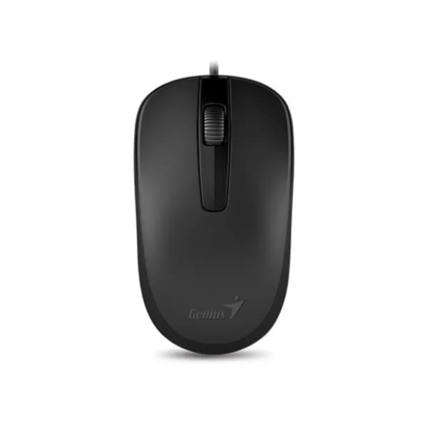 Mouse Genius DX-120 USB Negro